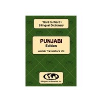 Word to Word Punjabi / English Dictionary (Paperback)