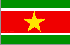 Suriname Flag