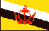 Brunei Flag