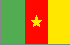 Cameroon Flag