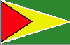 Guyana Flag