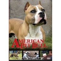 American Pit Bull - American DVD