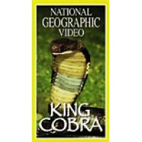 National Geographic Video - King Cobra