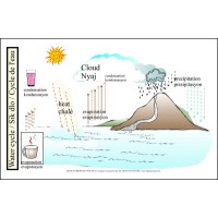 Water Cycle Chart