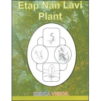 Etap nan lavi plant in Haitian-Creole