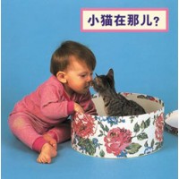 WHERE'S THE KITTEN? board book in Chinese (simp) only