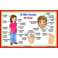 Il Mio Corpo / My Body Poster - Italian Classroom Poster