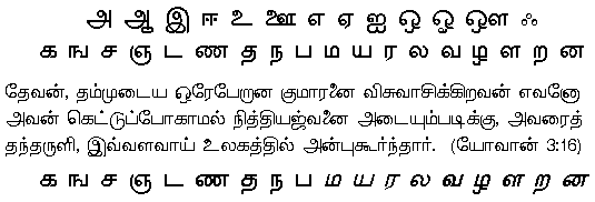 Font Sample