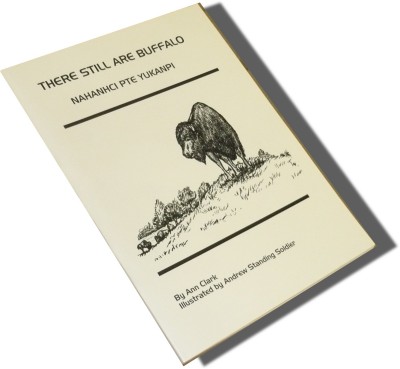 There still are Buffalo (Nahanhci Pte Yukanpi) (Paperback)