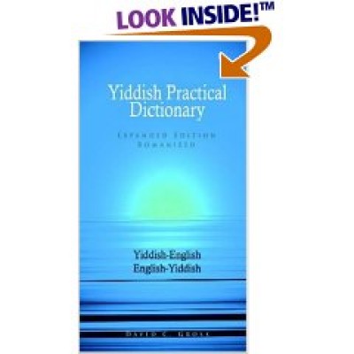 Hippocrene Yiddish - English/Yiddish/English Practical Dictionary