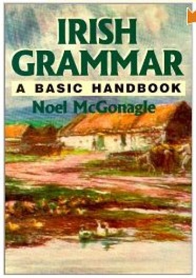 Hippocrene Irish Grammar - A Basic Handbook (100 pages)