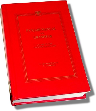 Punjabi Manual and Grammar (Romanised) (Hardcover)