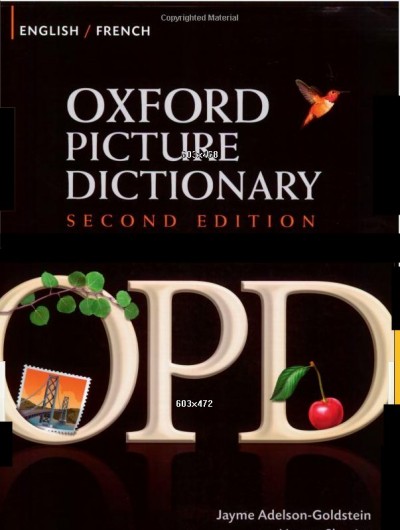 The Oxford Picture Dictionary: English-Vietnamese Editon (The Oxford Picture Dictionary Program) Norma Shapiro and Jayme Adelson-Goldstein