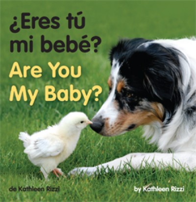 ARE YOU MY BABY? in Spanish & English Board Book