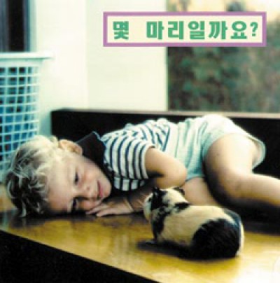 How Many? board book in Korean only
