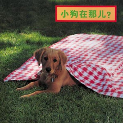 WHERE'S THE PUPPY? board book in Chinese (simp) Only