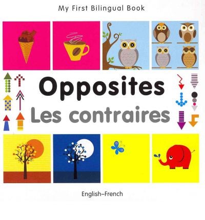 Bilingual Book - Opposites in French & English [HB]