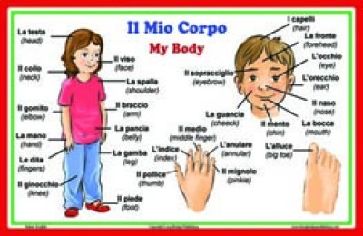 Il Mio Corpo / My Body Poster - Italian Classroom Poster