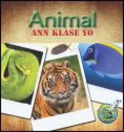 Animal Ann Klase Yo/ Let's Classify Animals by Kelly L. Hicks in Haitian Creole