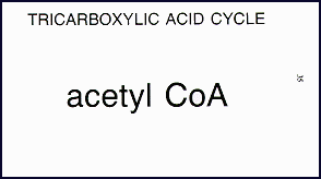 Vocabulary Flashcards (60 cards) Biochemistry Reactions and Nomenclature